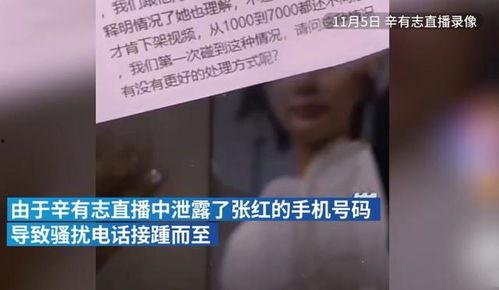 辛巴母亲爆料视频播放下载,揭秘背后真相  第2张